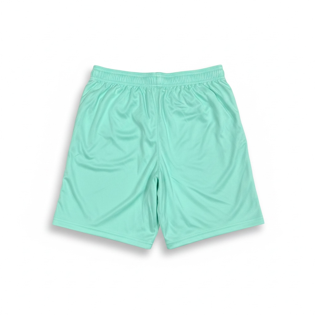 Hibernian 2022/23 Training Shorts - Back