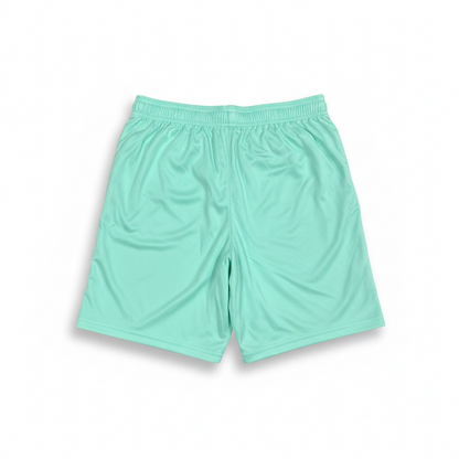 Hibernian 2022/23 Training Shorts - Back
