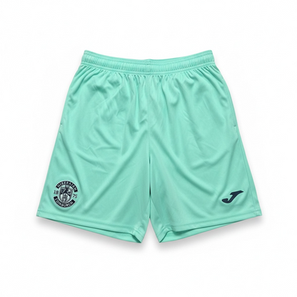 Hibernian 2022/23 Training Shorts - Front