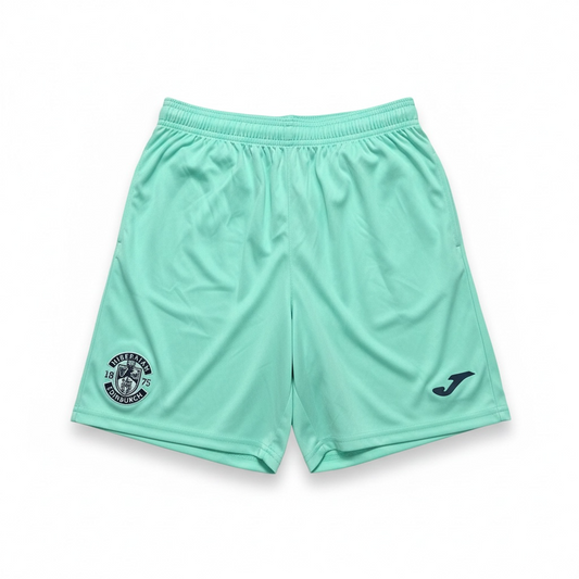 Hibernian 2022/23 Training Shorts - Front