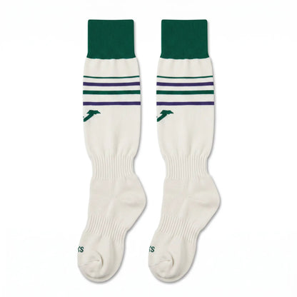 Hibernian 2023/24 third socks off-white with green and purple stripes