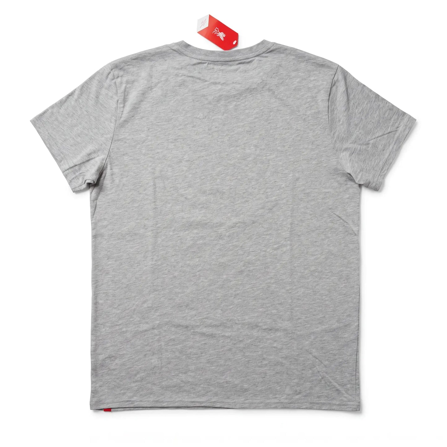Liverpool 2019/20 Premier League Champions T-Shirt back